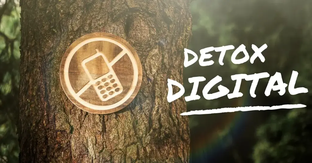 detox digital